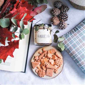 MELTS GALLETAS RECIÉN HORNEADAS